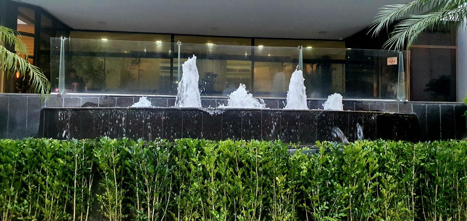 Canteiros com palmeiras e diferentes volumes no hotel nos Jardins