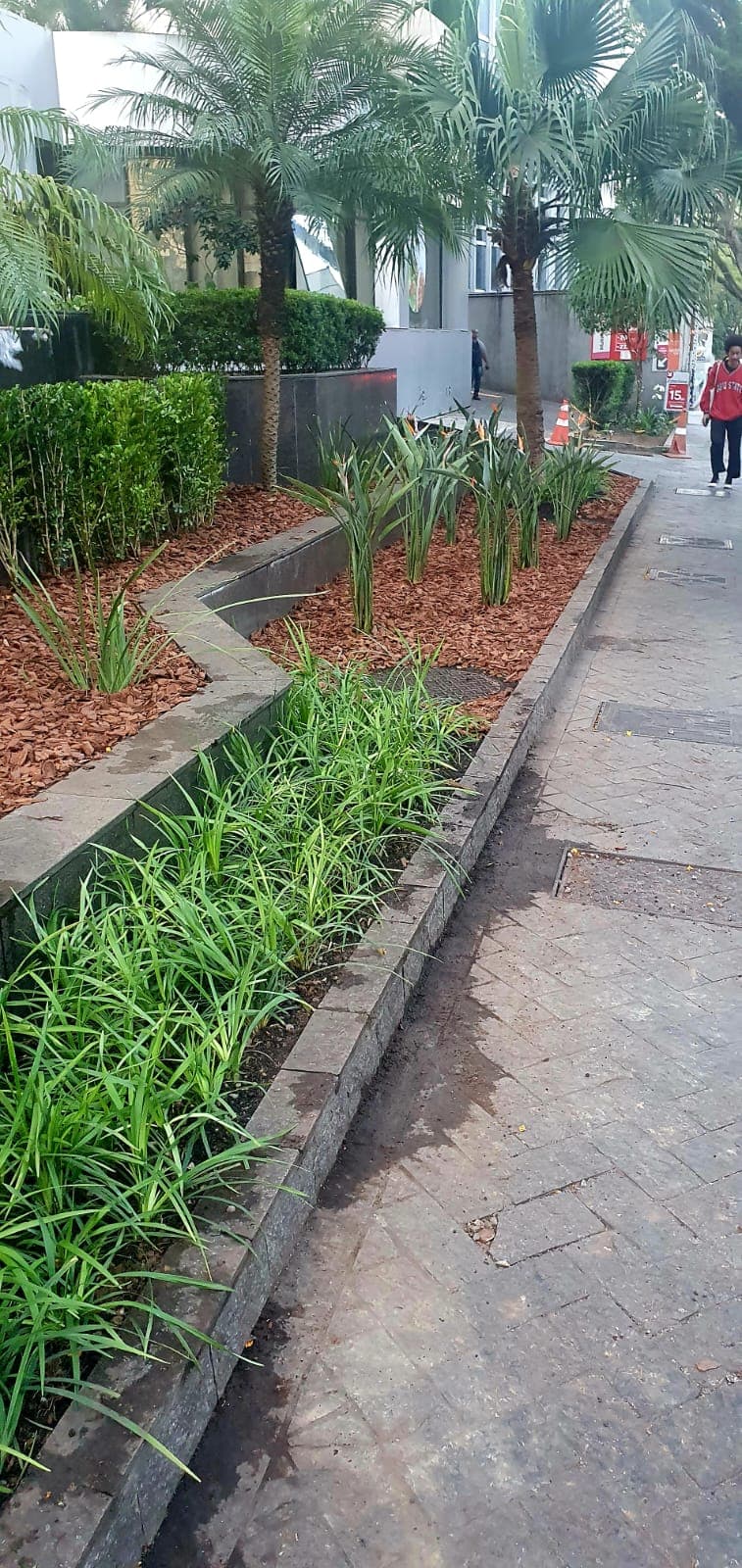 Detalhe final da implantação paisagística no hotel nos Jardins